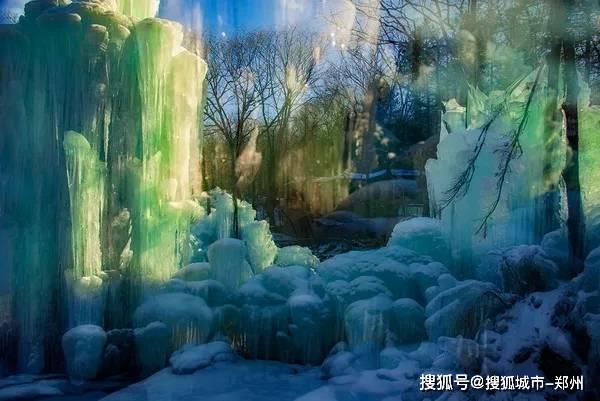 植物大战僵尸2